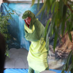 Voyage au Pays imaginaire avec Le Souffle des Mamans