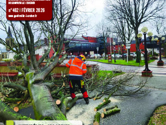 Une Actualités février 2026 : Après le passage de la tempête Goretti, les agents municipaux s'activent pour dégager les arbres déracinés.