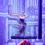 Gala de danse adultes 2026 - Le Roi Soleil