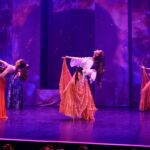 Gala de danse adultes 2026 - Le Roi Soleil